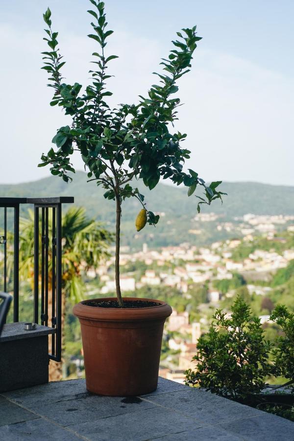 Villa Almana Cernobbio Kültér fotó